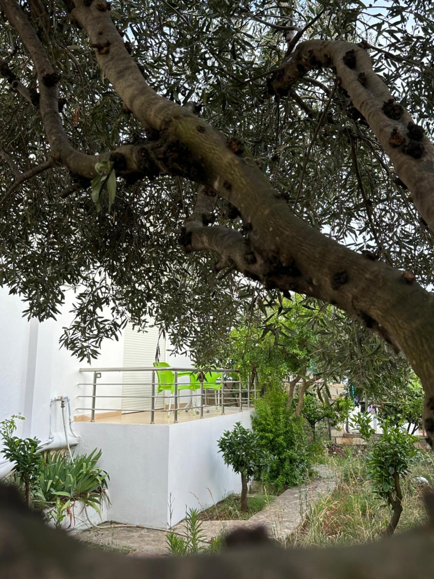 Anxhi Appartement Ksamil Buitenkant foto